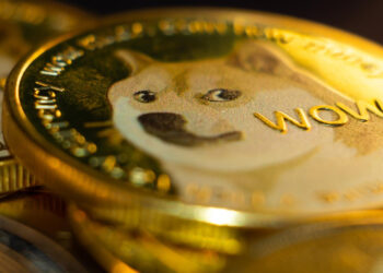 DOGE Bulls Seize Control: Upside Momentum Foreseen