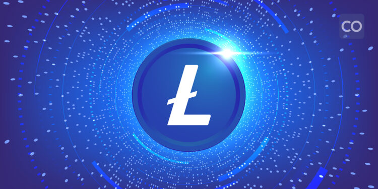 LTC Surges Over 8% Despite Market Dip