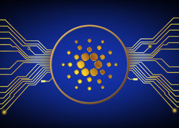 NMKR Founder Believes NFTs Can Address World Challenges