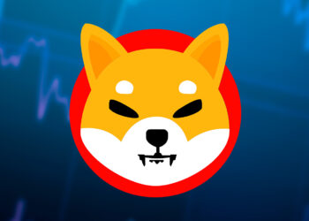 SHIB Burn Rate Surges 10,000% After Shibarium Testnet Launch