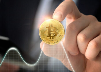 The Truth Behind the BTC Turbulence: Why Whales and Sharks Aren't to Blame