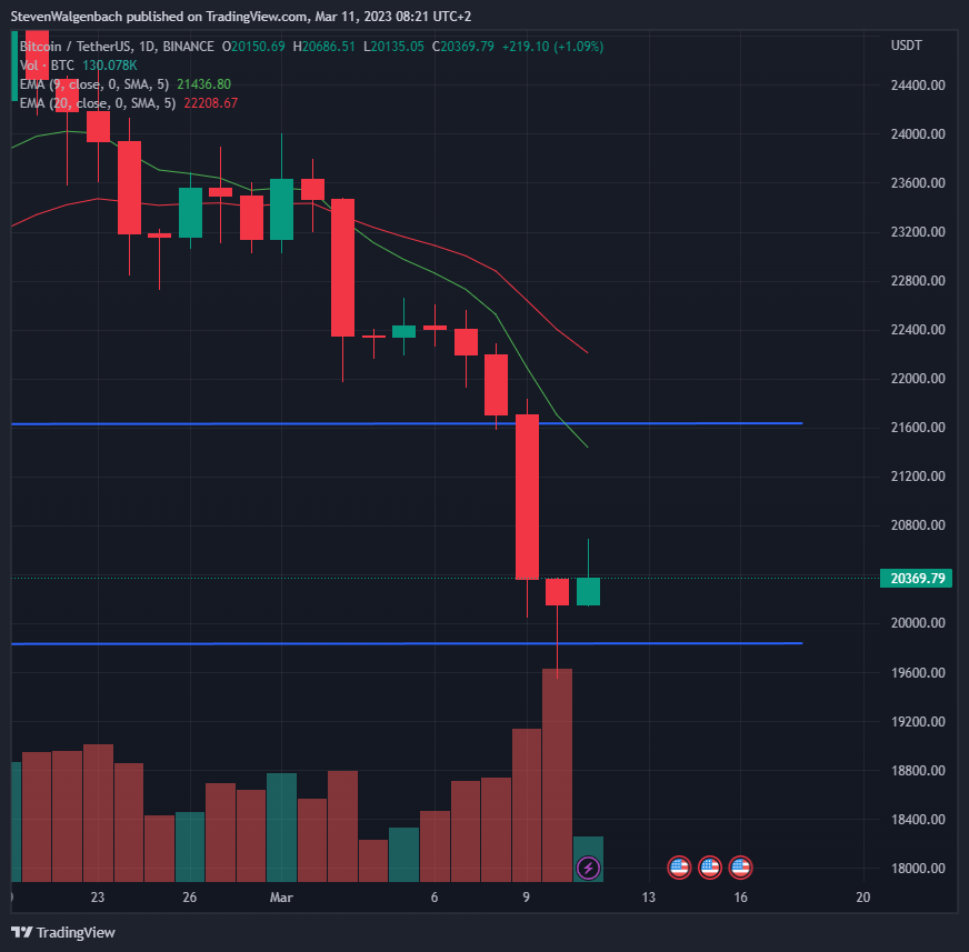 BTC Turbulence: Why Whales and Sharks Aren't to Blame