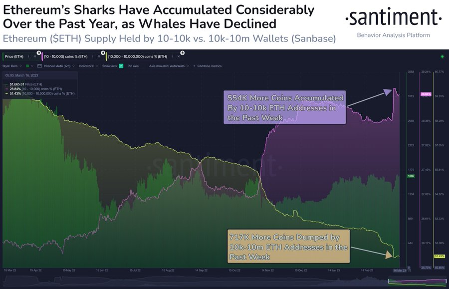 ETH whales show mixed trends, says Santiment data