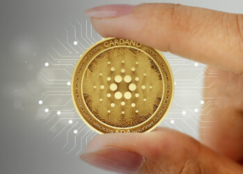 ADA's network activity rise makes Crypto Trader optimistic