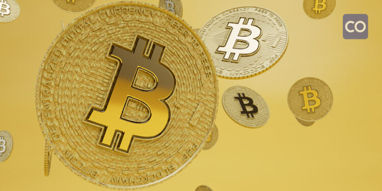 Bitcoin Network Increases Activity as $30K Mark in Sight