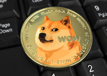 Crypto trader takes bullish stance on DOGE