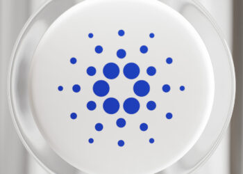 Expect a surge in Cardano's Total Value Locked