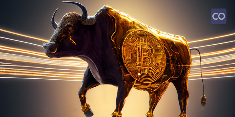 Famous crypto influencer declares the return of the Bull Run