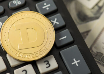 What to Expect from DOGE in the Next 48 Hours