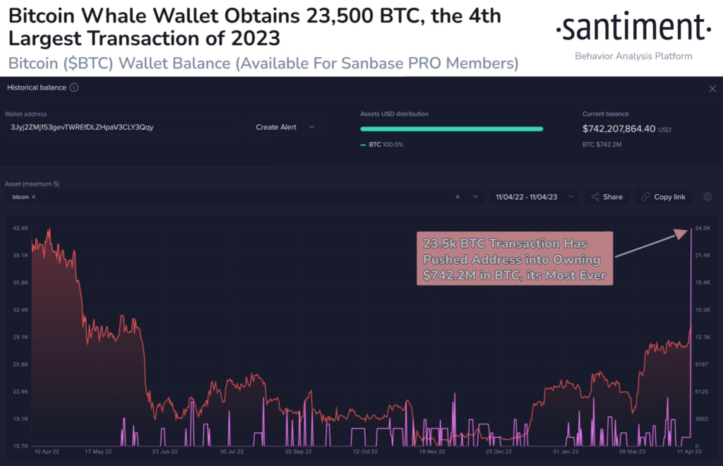 BTC whale&rsquo;s wallet balance
