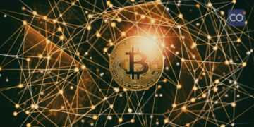 Analytics platform predicts crypto market will bounce back from panic selling