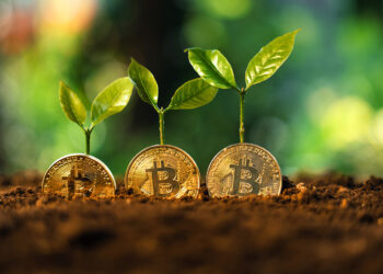 BTC returns impacted by halving events, as per recent data