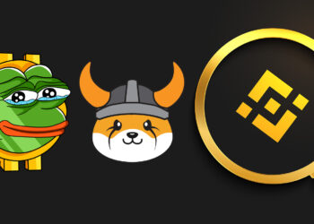 Binance now offers PEPE and FLOKI as loanable assets