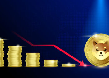 Burning frenzy causes SHIB price to plummet to 90-day low