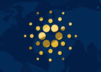 Crypto market makes strides despite bear market obstacles