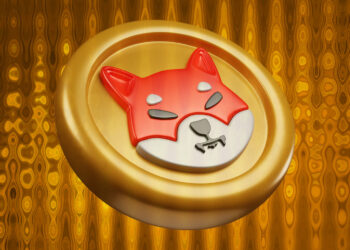 SHIB's price surges with record-breaking network activity