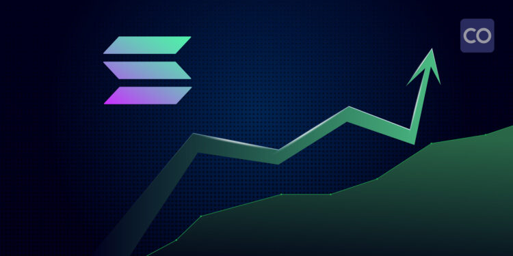 SOL's critical support signals a potential rally ahead