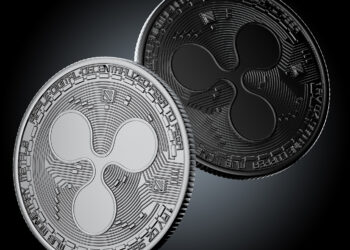 XRP gains momentum as whales accumulate millions of tokens