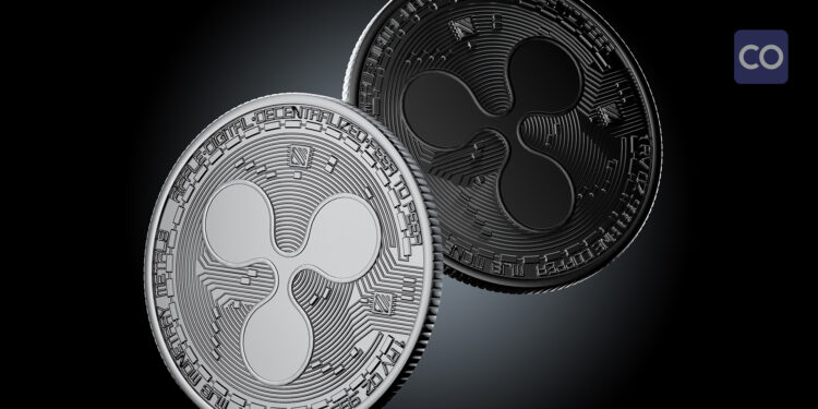 XRP gains momentum as whales accumulate millions of tokens