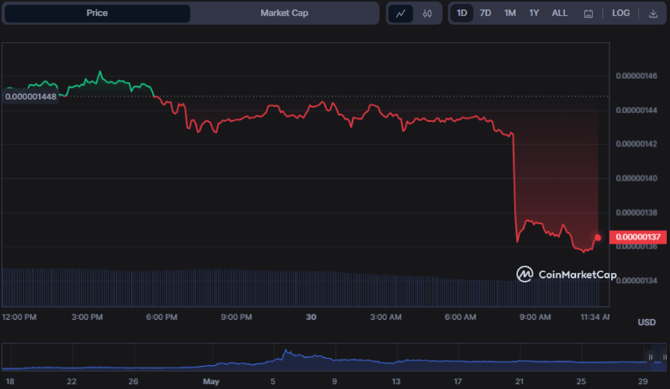 PEPE/USD 24-hour price chart