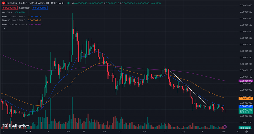 SHIB/USD 1-Day Chart