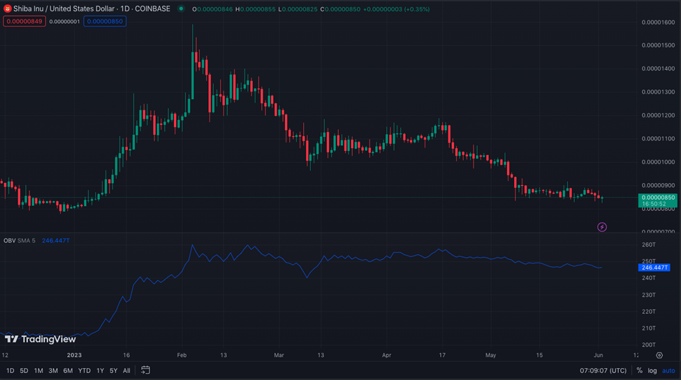 SHIB/USD 1-Day Chart