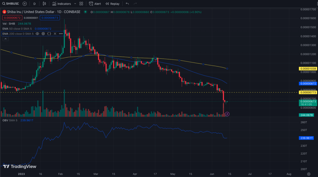 SHIB/USD Daily Chart