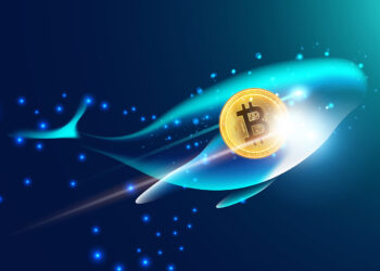 Bitcoin sees numerous whale transactions in last 24 hours