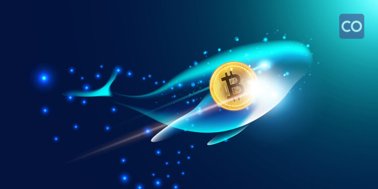 Bitcoin sees numerous whale transactions in last 24 hours