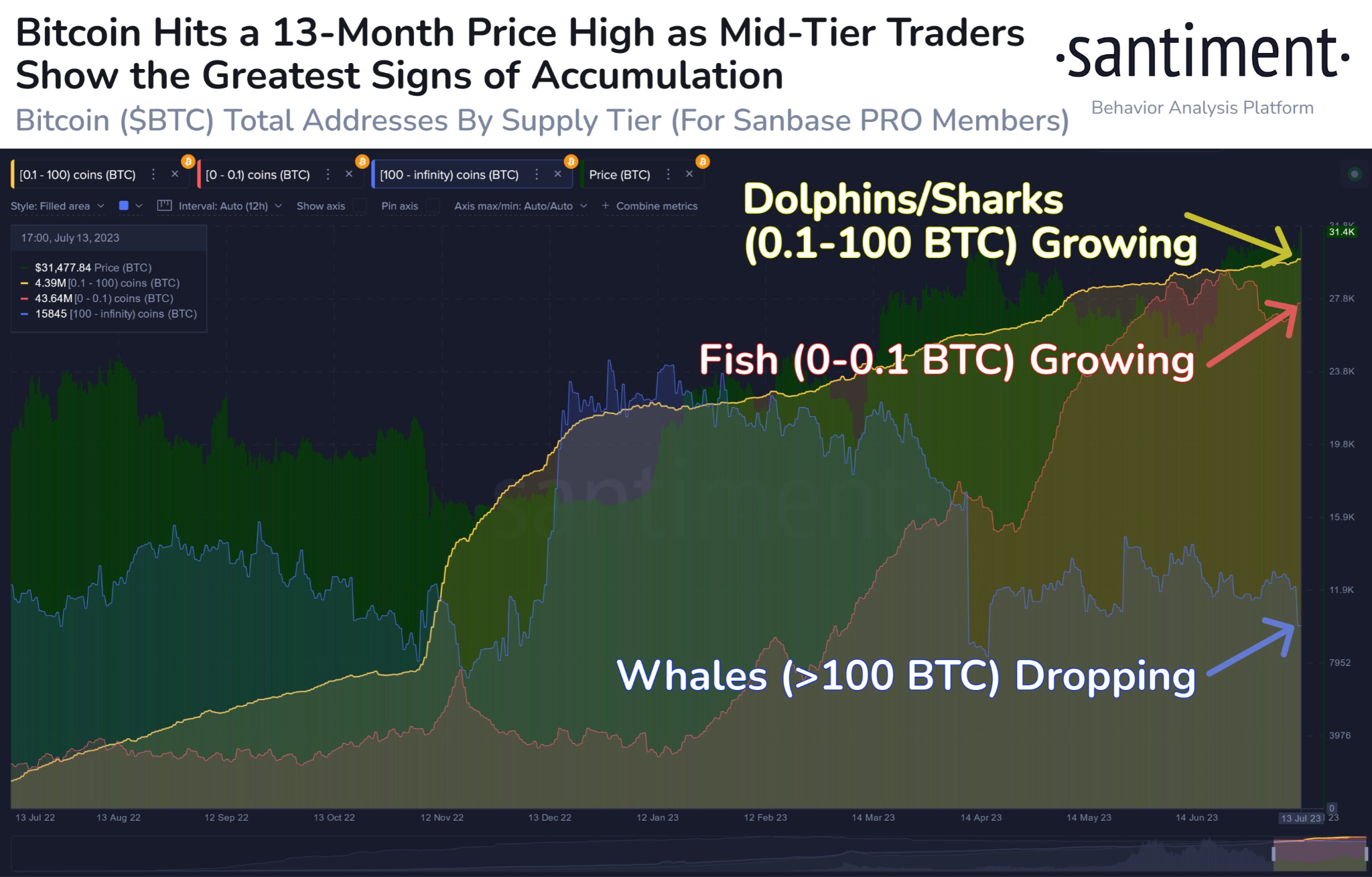 BTC accumulation by fish, sharks, and whale addresses