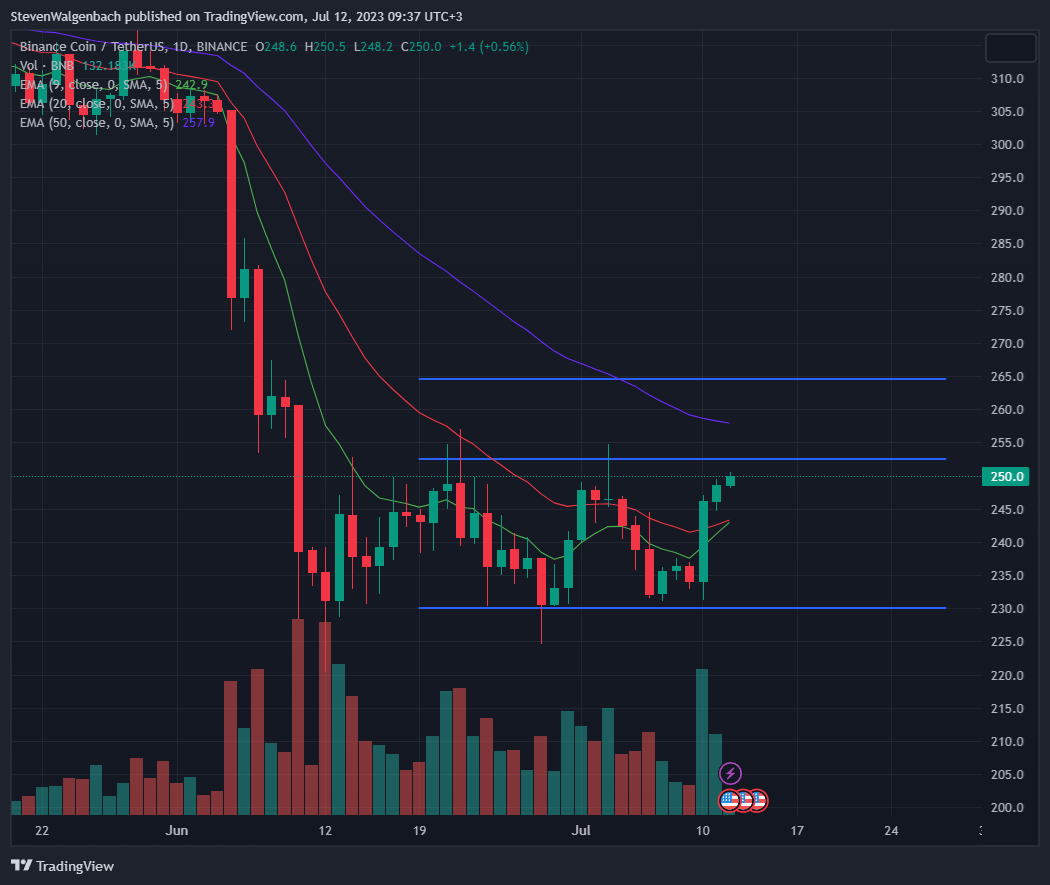 Daily chart for BNB/USDT