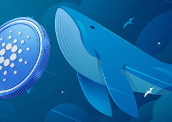 ADA Whales have amassed 130 million tokens within a month