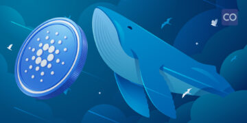 ADA Whales have amassed 130 million tokens within a month