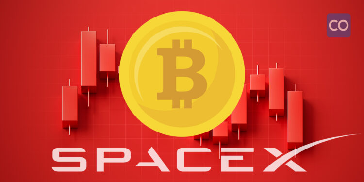 Bitcoin market nosedives amid SpaceX's BTC holding rumors