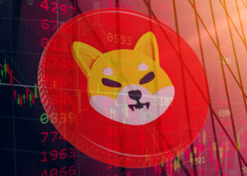 Shiba Inu adopts DeFi: Introduces digital ID verification