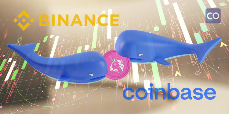 Three major deposits from UNI Whale hit Binance and Coinbase