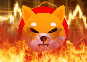 5 Billion Tokens Burned by Shiba Inu: What's Next?