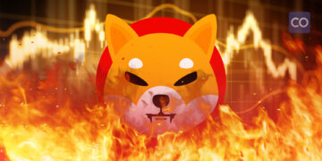 5 Billion Tokens Burned by Shiba Inu: What's Next?