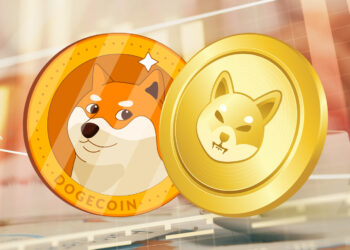 Amid crypto decline, oversold alerts fuel hope for SHIB and DOGE