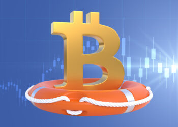 BTC Price Temporarily Bounces Back After Recent Steep Fall