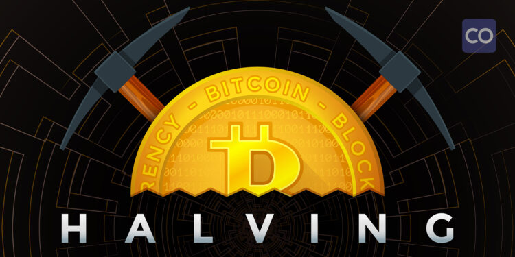 Bitcoin Halving 2024: Predictions for Miners and Investors