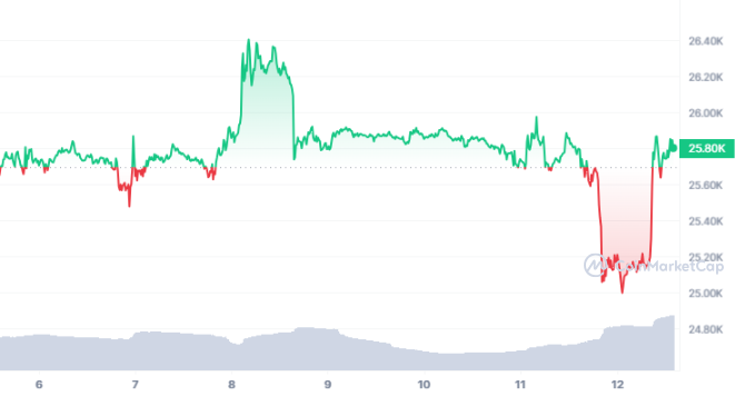 BTC Price Temporarily Bounces Back After Recent Steep Fall