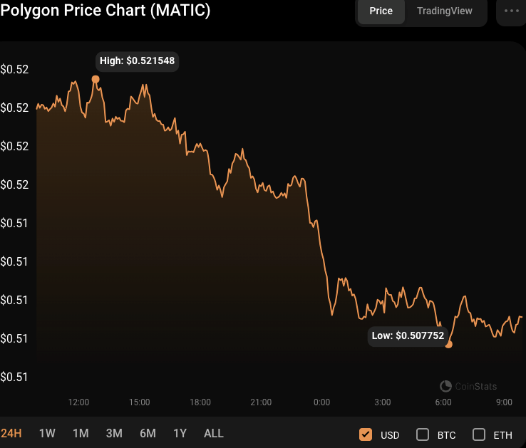 MATIC/USD 24-hour price chart