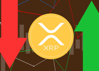 Appeal Denial in Ripple Case Triggers Significant XRP Movement