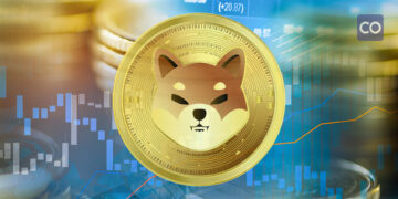 Stagnant prices trigger a drop in Shiba Inu whale activity