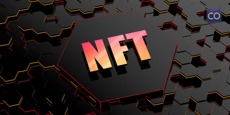 Which NFT collections will dominate the future NFT market?