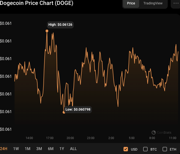 DOGE/USD 24-hour price chart