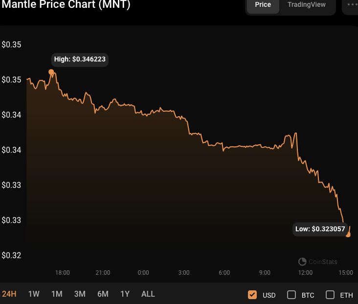 MNT/USD 24-hour price chart