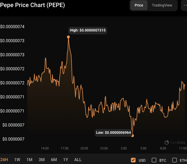 PEPE/USD 24-hour price chart