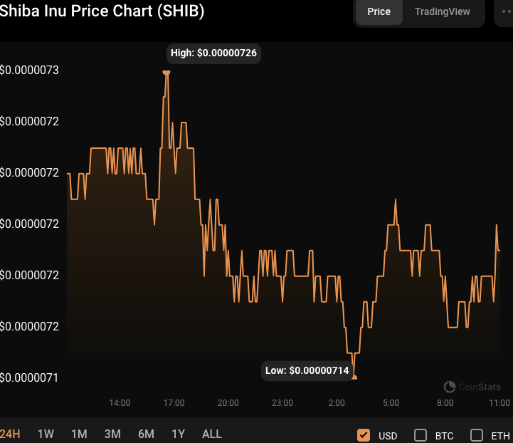 SHIB/USD 24-hour price chart